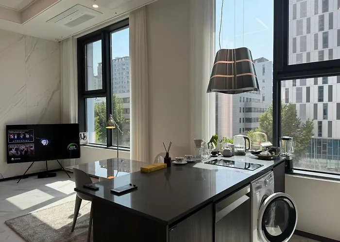 公寓 Brand New ! Luxury At Euljiro-5ga 首爾
